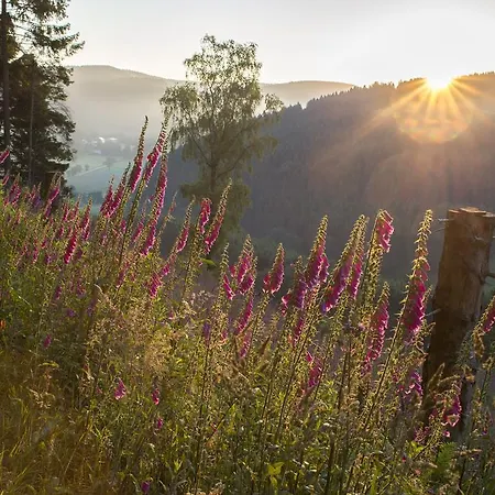 Landhaus Zum Sorpetal