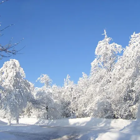 Gasthuis Landhaus Zum Sorpetal