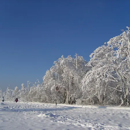 Gasthuis Landhaus Zum Sorpetal 3*