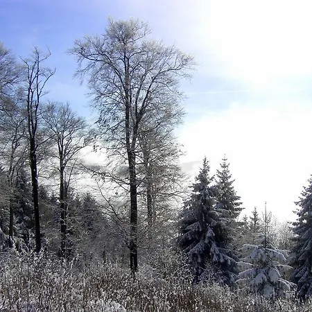 Landhaus Zum Sorpetal Gasthuis 3*