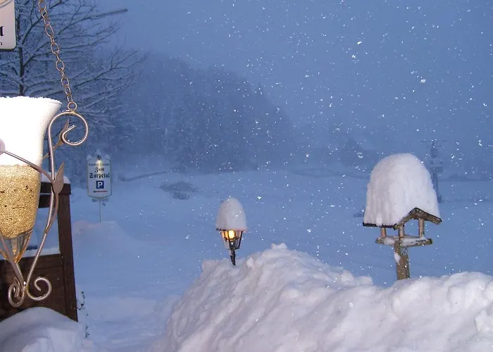 Pensionat Landhaus Zum Sorpetal 3*