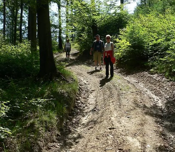 Landhaus Zum Sorpetal Pensionat Schmallenberg