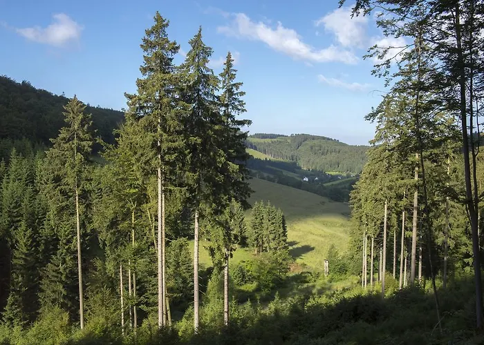 Pensionat Landhaus Zum Sorpetal 3*