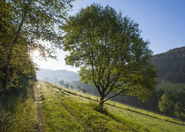Pensionat Landhaus Zum Sorpetal Schmallenberg