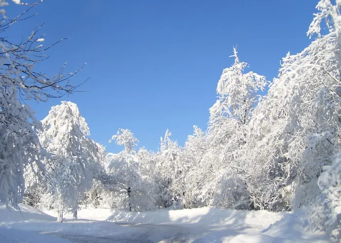 Pensionat Landhaus Zum Sorpetal