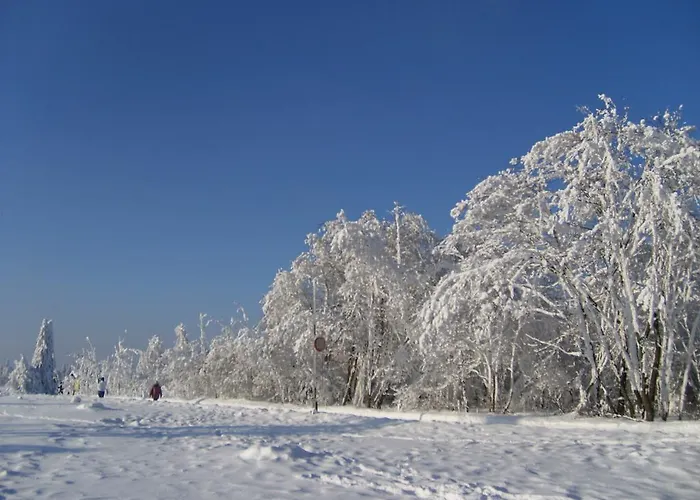 Pensionat Landhaus Zum Sorpetal 3*