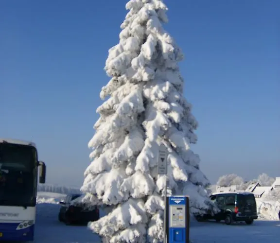 Landhaus Zum Sorpetal Pensionat 3*