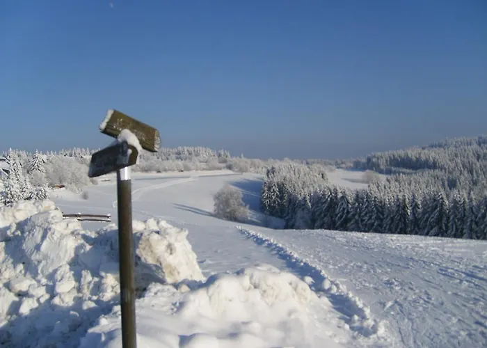 Pensionat Landhaus Zum Sorpetal Schmallenberg