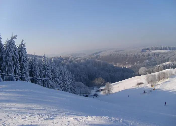 Landhaus Zum Sorpetal Pensionat