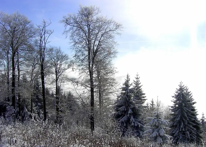 Landhaus Zum Sorpetal Pensionat 3*