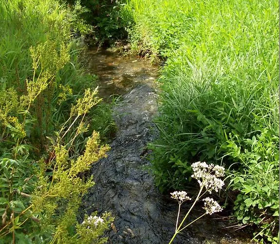 Landhaus Zum Sorpetal 3* Schmallenberg