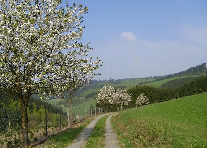 Landhaus Zum Sorpetal Pensionat Schmallenberg