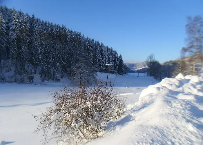 Landhaus Zum Sorpetal Pensionat