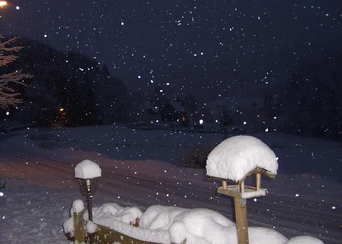 Pensionat Landhaus Zum Sorpetal 3*