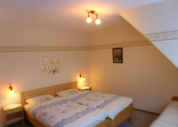 Landhaus Zum Sorpetal Pensionat 3*